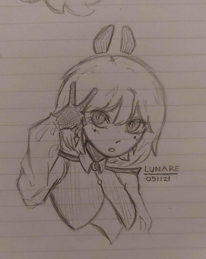 Lunare Doodle